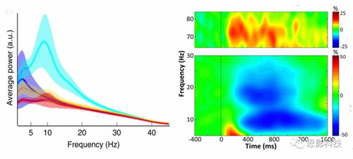 思影数据处理服务六 脑磁图（MEG）数据处理的专业解决方案